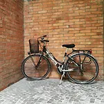 I Cedri * Udine